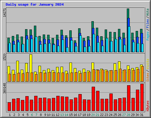 Daily usage for January 2024