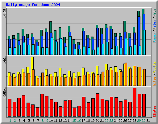 Daily usage for June 2024