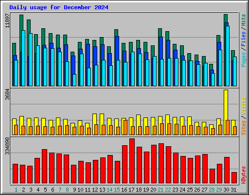 Daily usage for December 2024