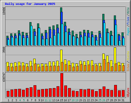 Daily usage for January 2025