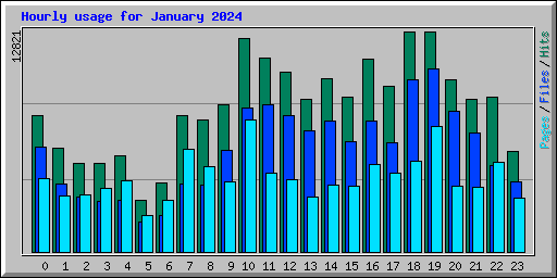 Hourly usage for January 2024