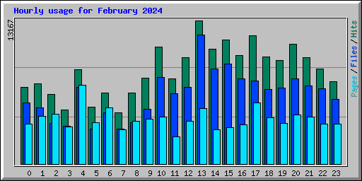 Hourly usage for February 2024