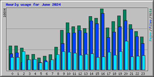 Hourly usage for June 2024