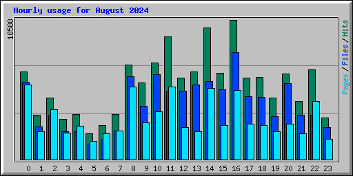 Hourly usage for August 2024