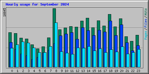 Hourly usage for September 2024