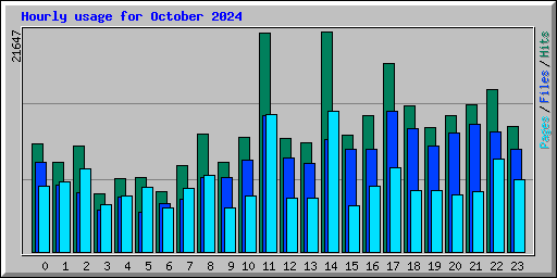 Hourly usage for October 2024