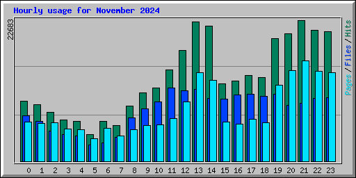 Hourly usage for November 2024