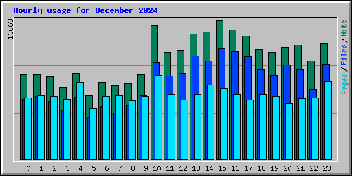 Hourly usage for December 2024