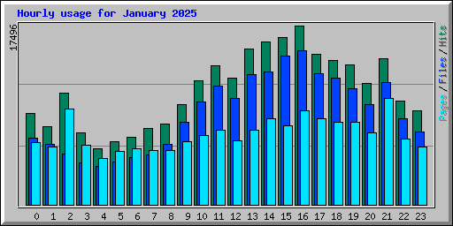 Hourly usage for January 2025