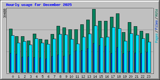 Hourly usage for December 2025