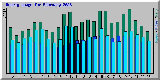 Hourly usage for February 2026